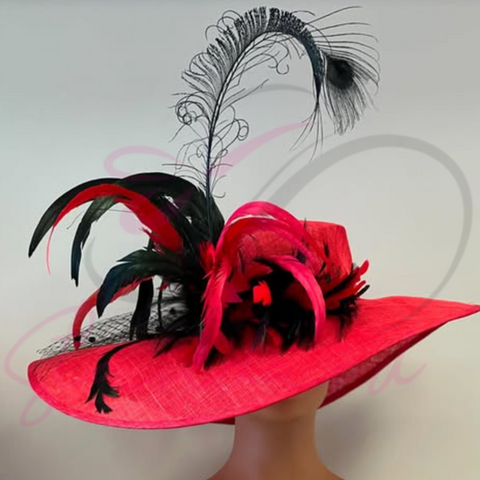 Red and black hat with feathers!