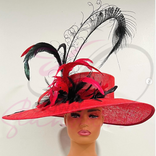 Red hat with black feathers and other design details!